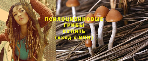 гидра Баксан